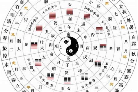 12天干地支|天干地支